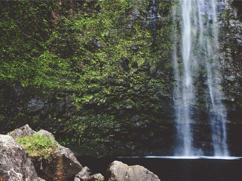 sudoku forcing chains screenshot 3